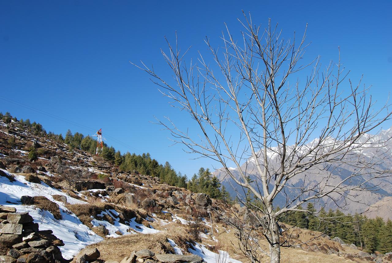 Auli Resort Joshīmath Exterior foto